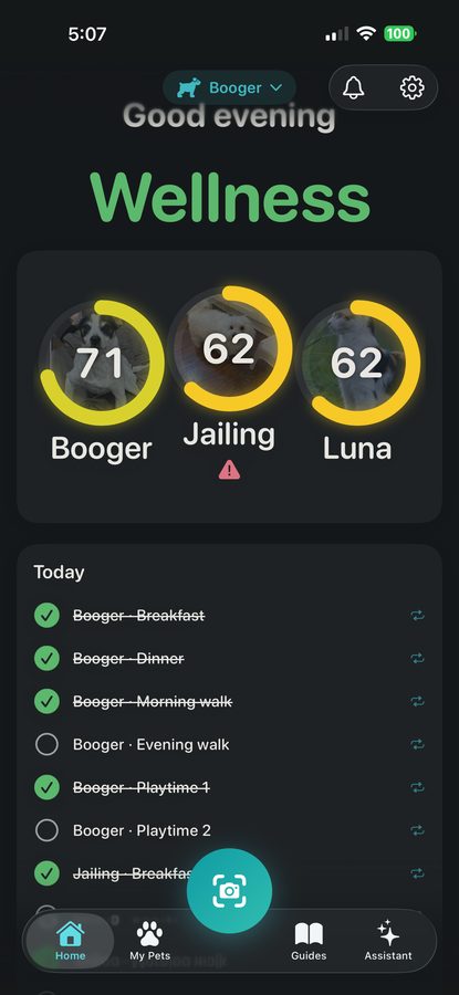 Home screen with multiple pets and wellness scores