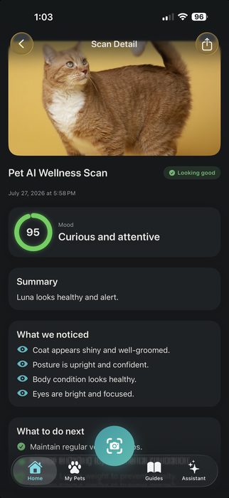 Cat scan result, looking good