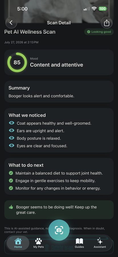 Scan detail result screen